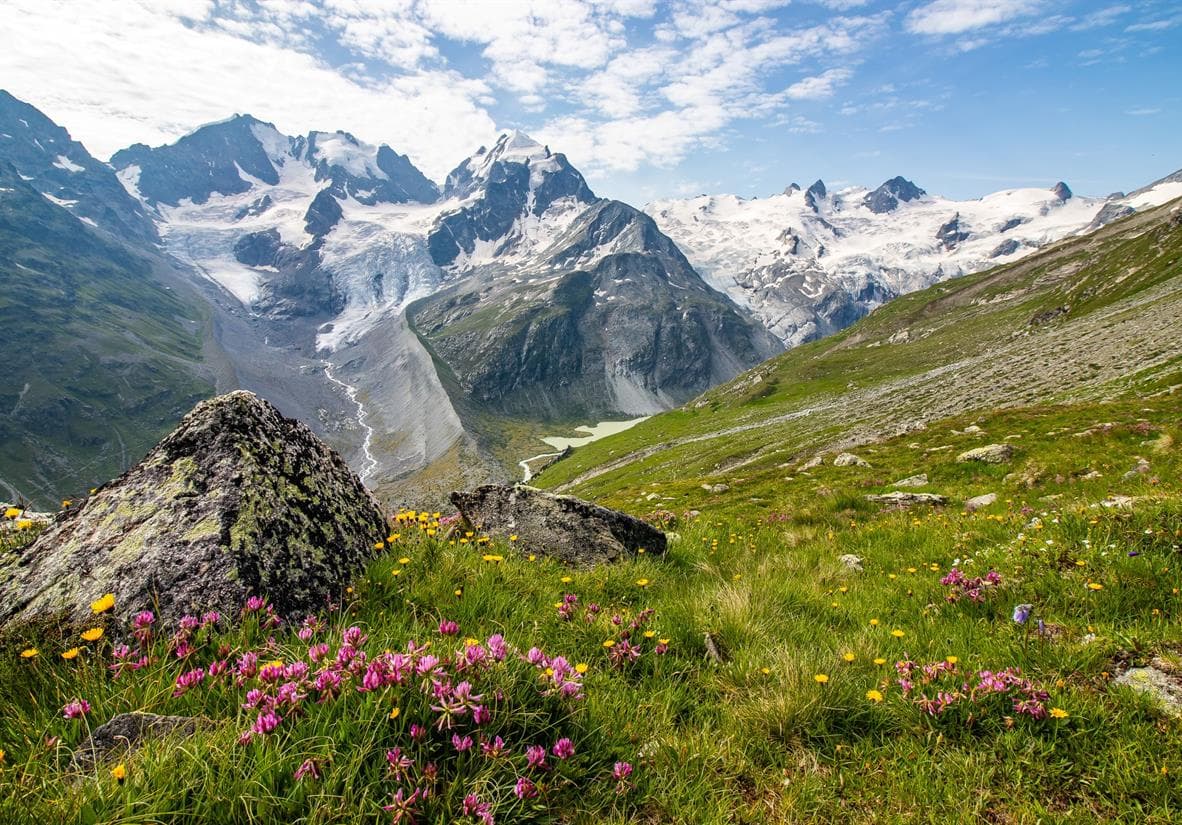 Swiss Alps
